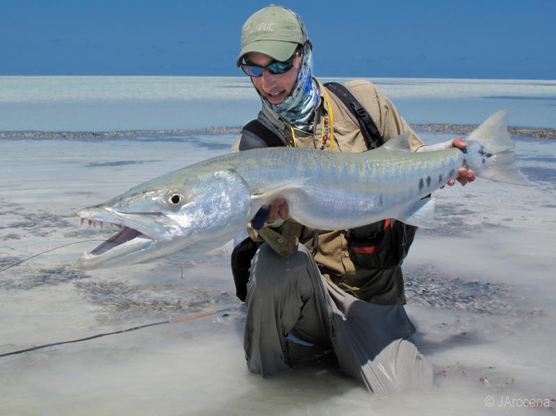 amazing fish - 20110107img0962.JPG